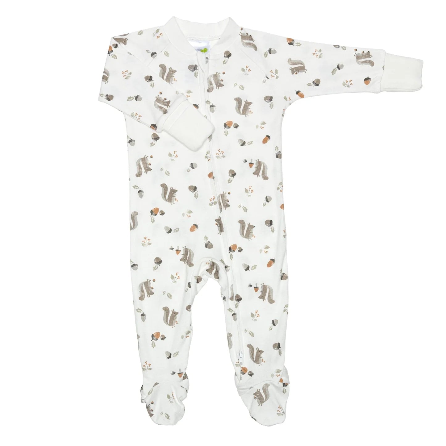 Bamboo Footed Sleeper (Squirrels)