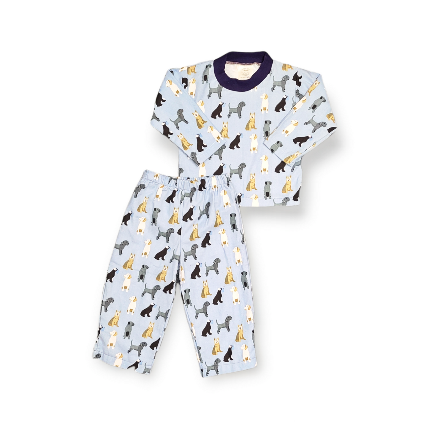 Blue Puppies 2 Piece Flannel Pajamas