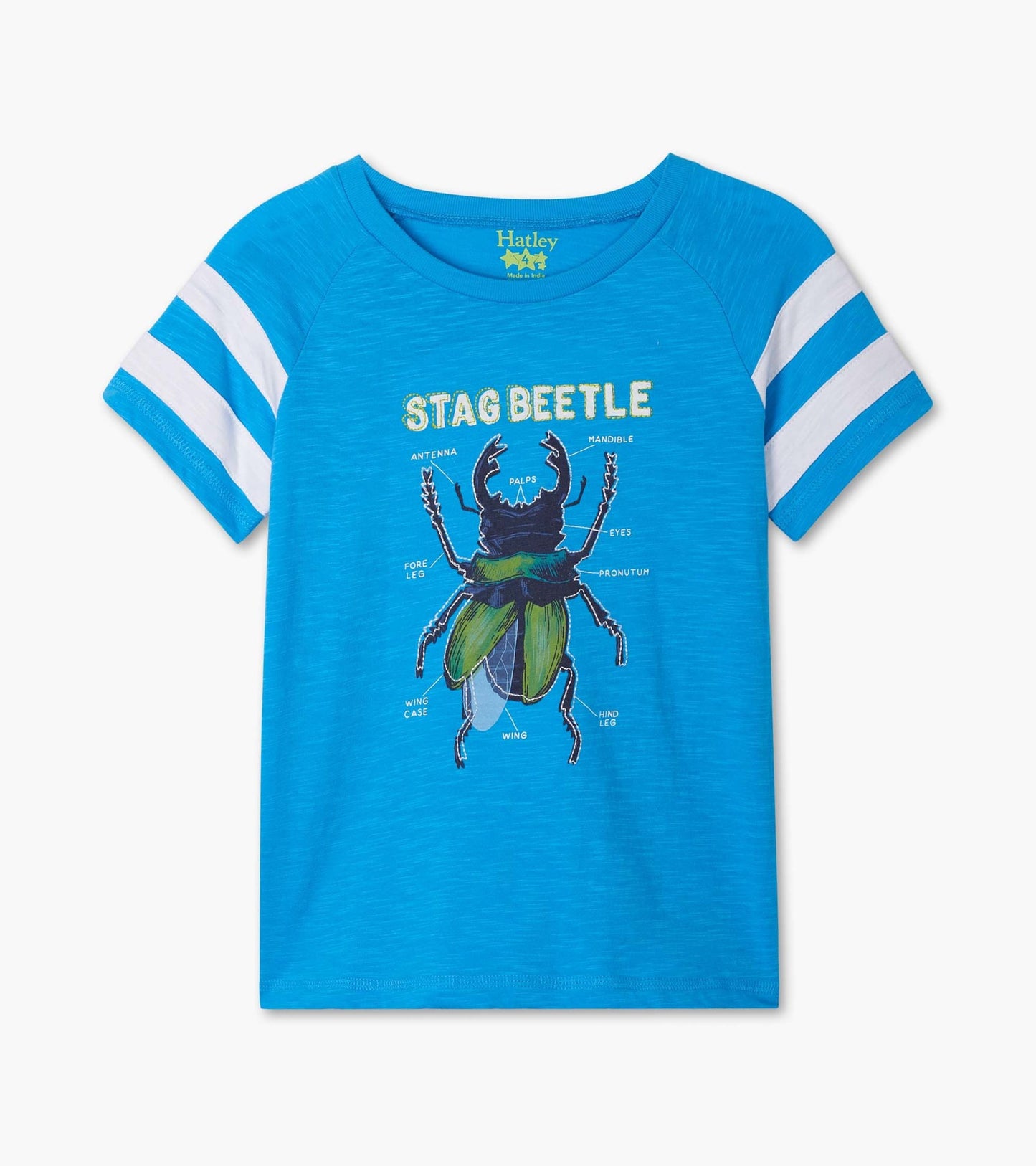 Stag Beetle Raglan Tee