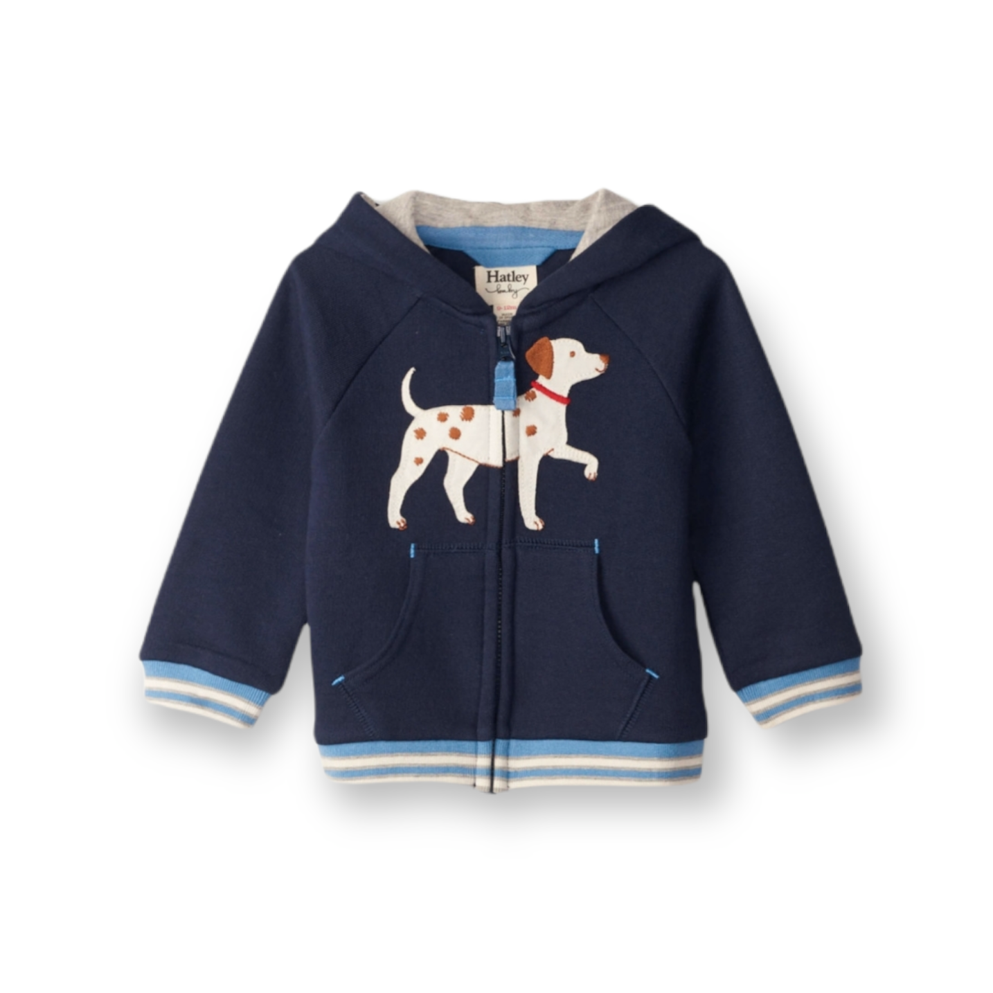 Baby Pup Raglan Hoodie