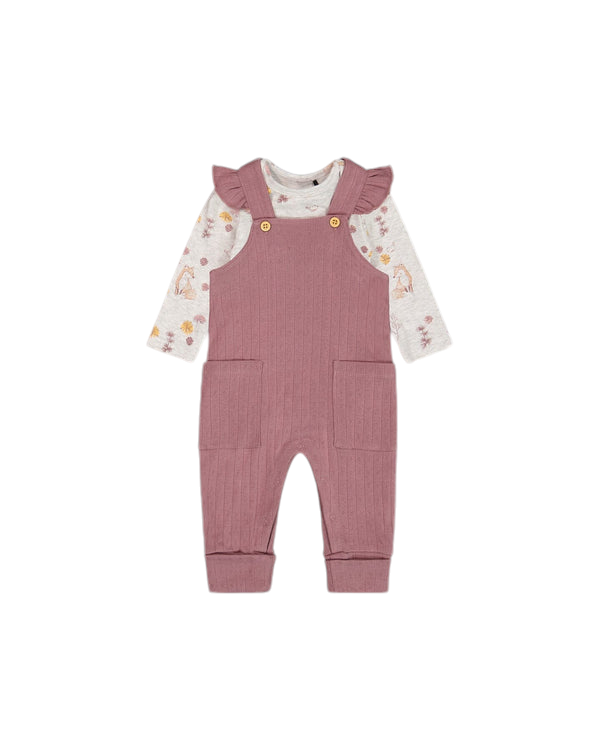 Organic Cotton Overall & Onesie Set