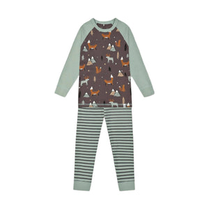 Organic Cotton Pajama Set