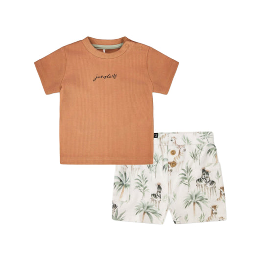 Organic Cotton Tee & Shorts Set