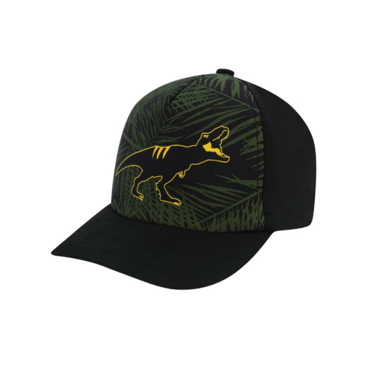 UV Baseball Cap
