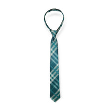 Load image into Gallery viewer, 17&quot; Mavezzano Zipper Ties
