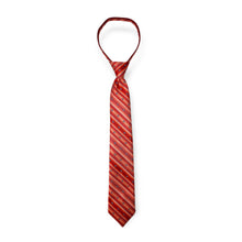 Load image into Gallery viewer, 17&quot; Mavezzano Zipper Ties
