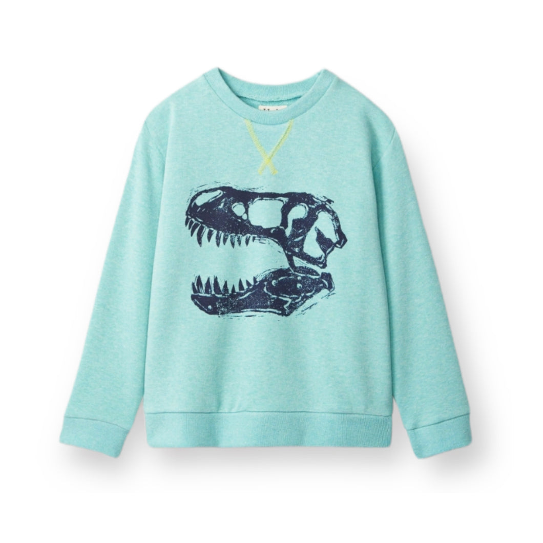 Dino Fossil Pullover Sweater