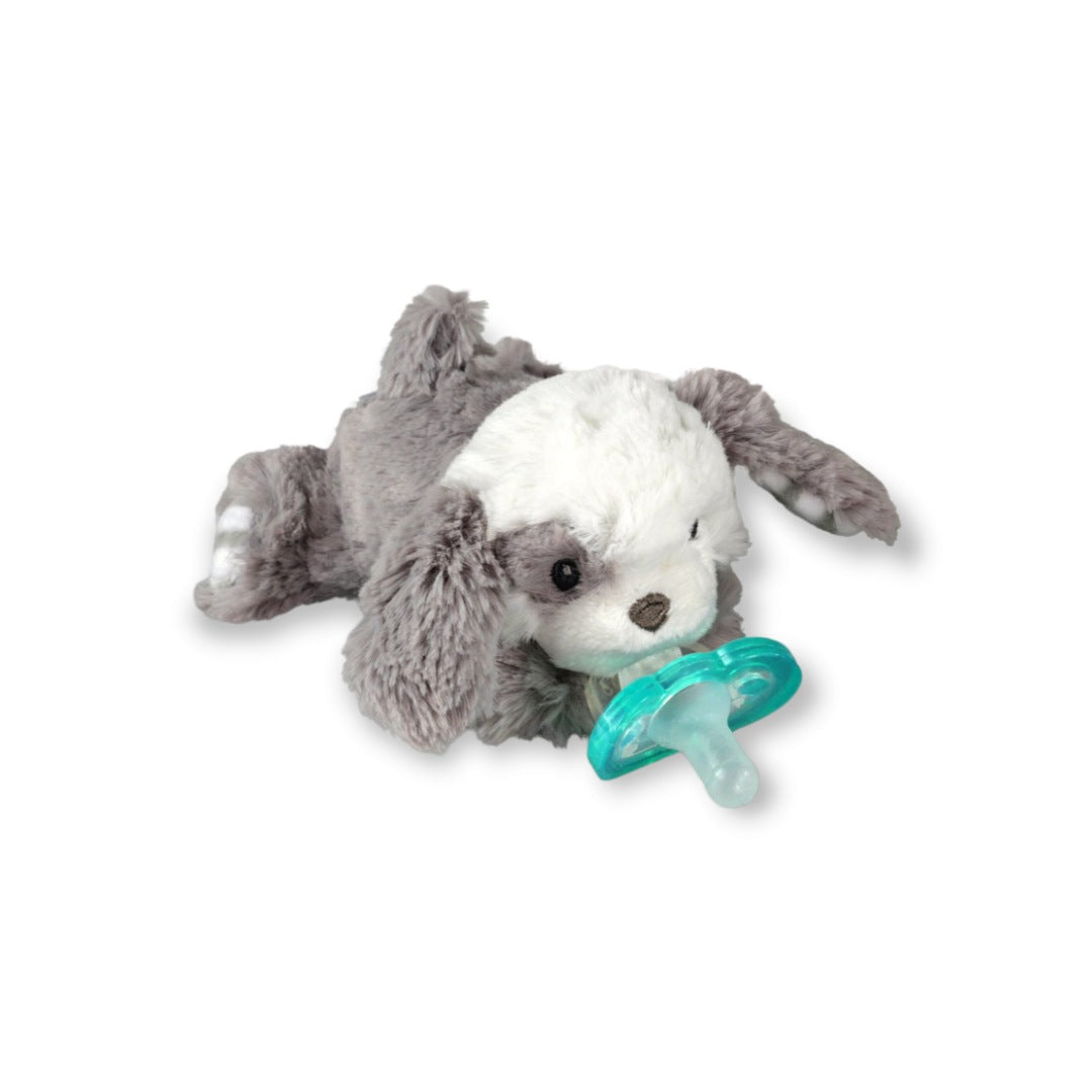 Raz Buddy Detatchable Pacifier